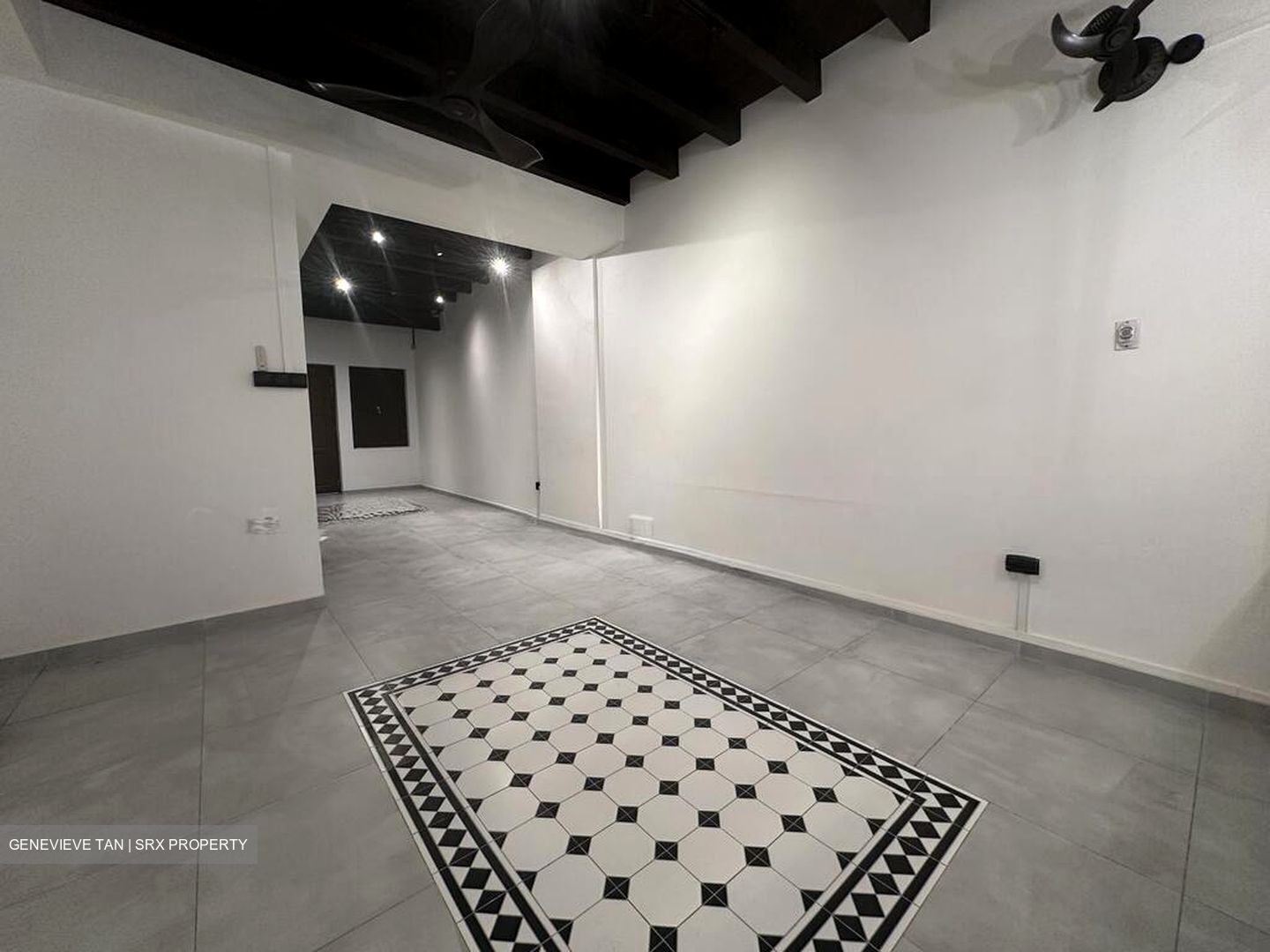 Lucky Plaza (D9), Shop House #526878251